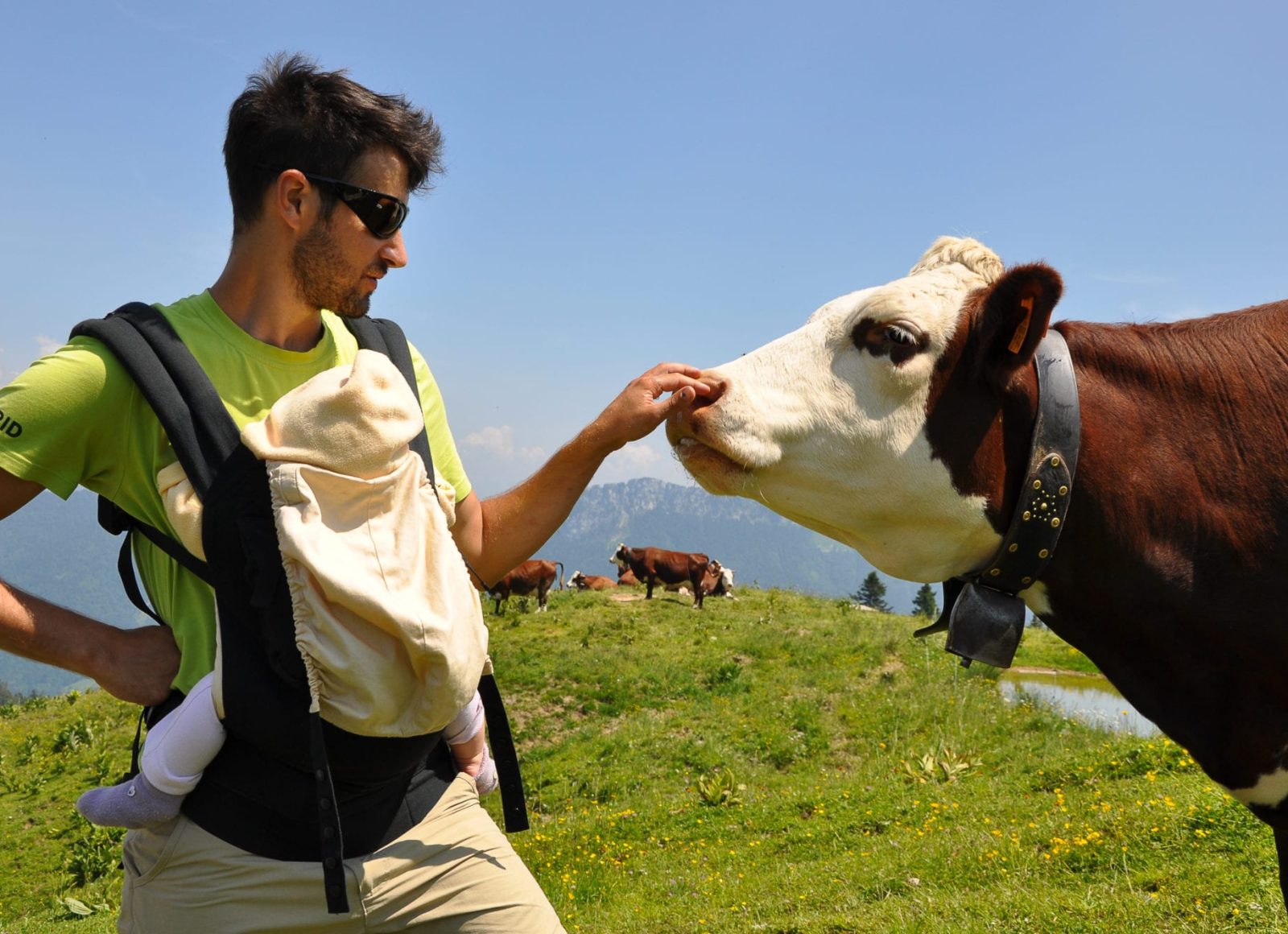 partager les aménagements pastoraux entre troupeaux et randonneurs