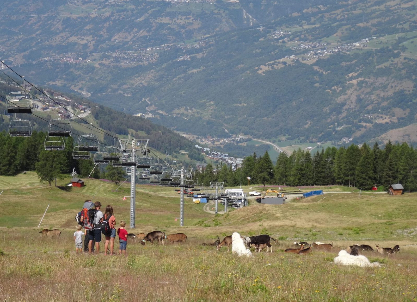 Famille, chien de protection et remontée mécanique. randonnée nature