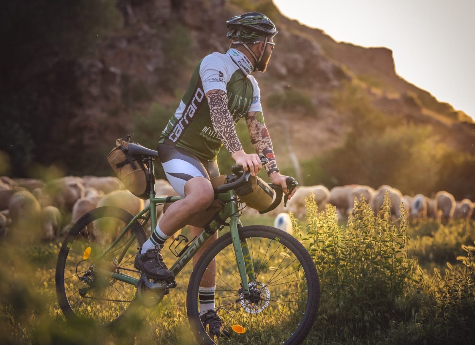 VTT et troupeau de brebis