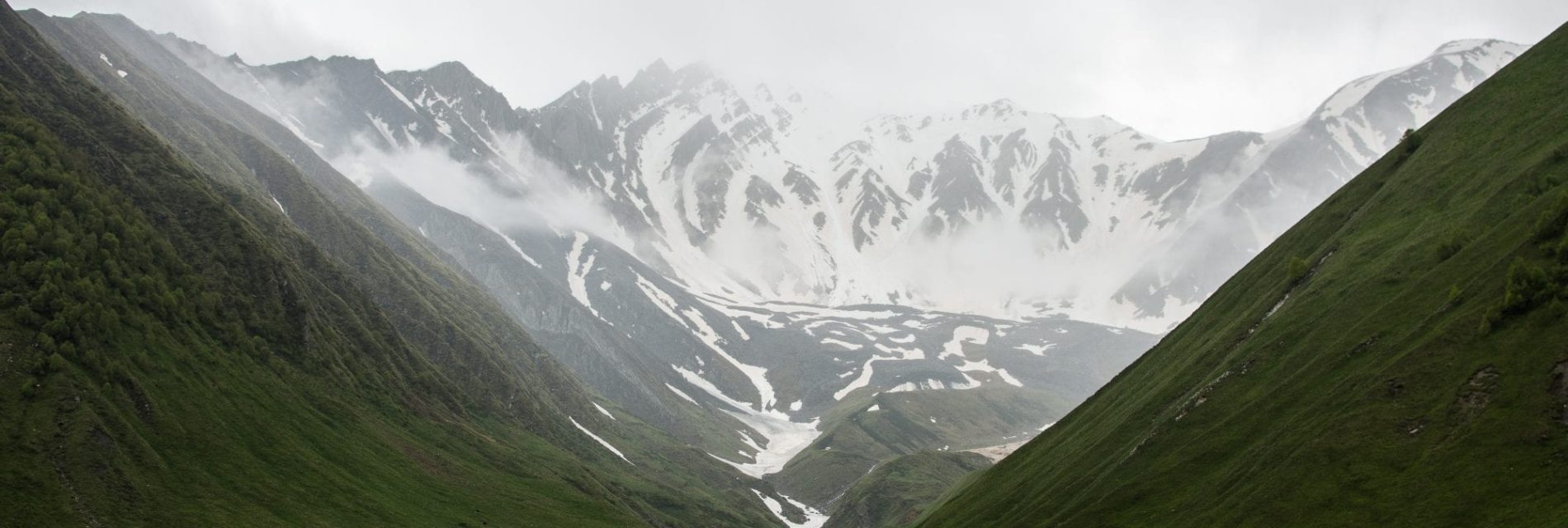 Troupeau de brebis en plaine